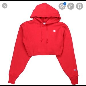 Champion Cropped Hoodie
